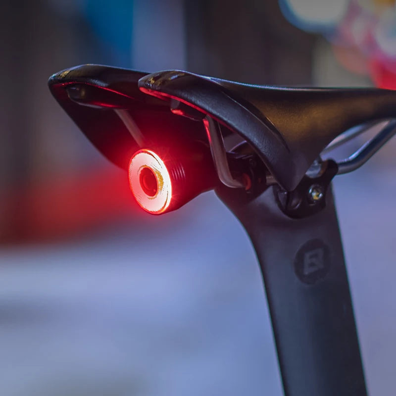 ROCKBROS Bike Light LED Bicycle IPx6 Waterproof USB Charging Taillight Cycling Q5 Flashlight Auto Brake Sensing Smart Rear Light